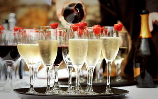 新世代“微醺”經(jīng)濟(jì) 解碼酒水消費(fèi)年輕化趨勢與營銷新玩法