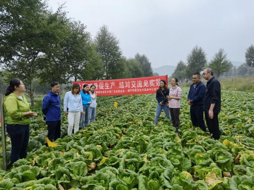 以試驗促進高效生產，以科技助力生態農業——省農業技術推廣總站的實踐與探索
